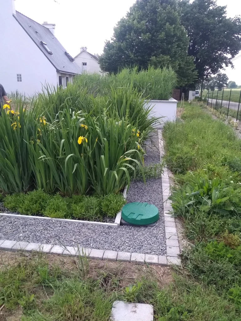 Assainissement par Phytoépuration Aquatiris